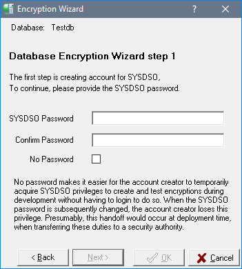 Step 1: Enter the SYSDSO password