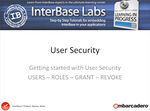 InterBase User Security