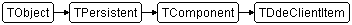 TDdeClientItem