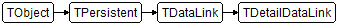 TDetailDataLink