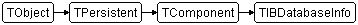 TIBDatabaseInfo