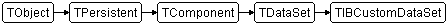 TIBCustomDataSet