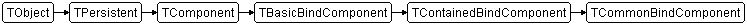 TCommonBindComponent