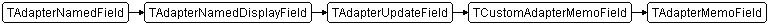 TAdapterMemoField