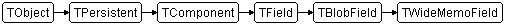 TWideMemoField