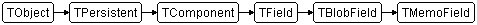 TMemoField
