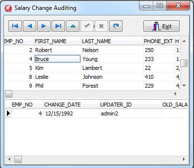 Salary Change Auditing Frm.png