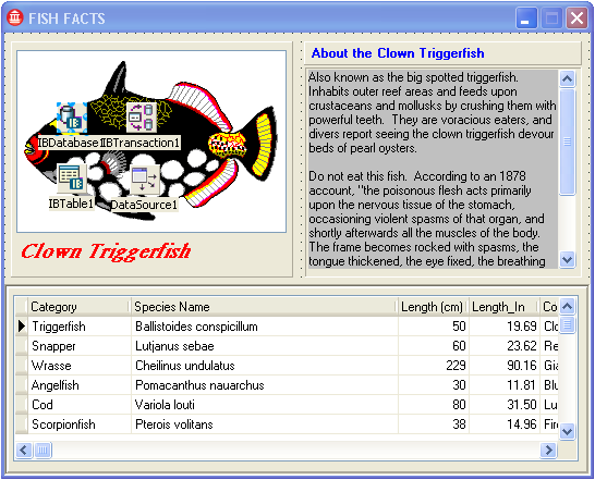 TutorialIBXNoCode-CompleteForm.png