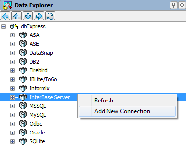 DataExplorer-InterBaseTutorial.png