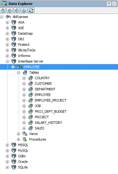 DataExplorerInformationDB-InterBaseTutorial.png