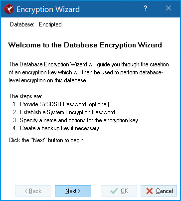 Encryption wizard, initial page