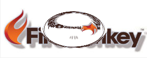 FireMonkey logo TPinchEffect.PNG