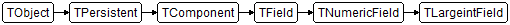 TLargeintField