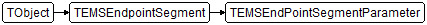 TEMSEndPointSegmentParameter