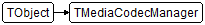 TMediaCodecManager