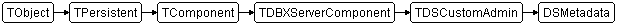DSMetadata