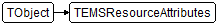 TEMSResourceAttributes