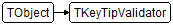 TKeyTipValidator