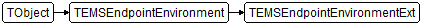 TEMSEndpointEnvironmentExt