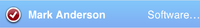 ItemEditAppearance-ListItemRightDetailShowCheck-Selected-iOS.png