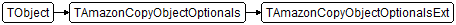 TAmazonCopyObjectOptionalsExt