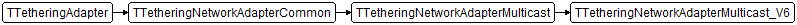 TTetheringNetworkAdapterMulticast_V6