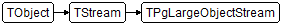 TPgLargeObjectStream