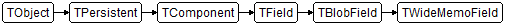 TWideMemoField