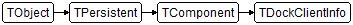TDockClientInfo