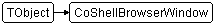 CoShellBrowserWindow