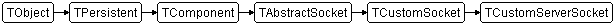 TCustomServerSocket