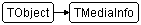 TMediaInfo
