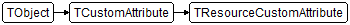 TResourceCustomAttribute