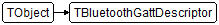 TBluetoothGattDescriptor