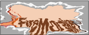 FireMonkey logo TWiggleTransitionEffect texture.PNG