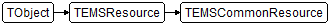 TEMSCommonResource