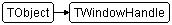 TWindowHandle