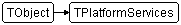 TPlatformServices