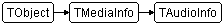 TAudioInfo