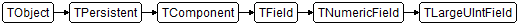 TLargeUIntField