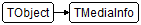 TMediaInfo