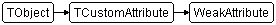 WeakAttribute