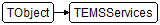 TEMSServices