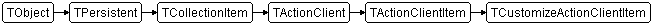 TCustomizeActionClientItem
