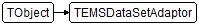 TEMSDataSetAdaptor