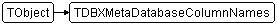 TDBXMetaDatabaseColumnNames