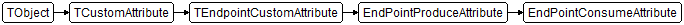 EndPointConsumeAttribute