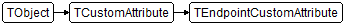 TEndpointCustomAttribute