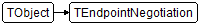 TEndpointNegotiation