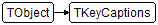 TKeyCaptions